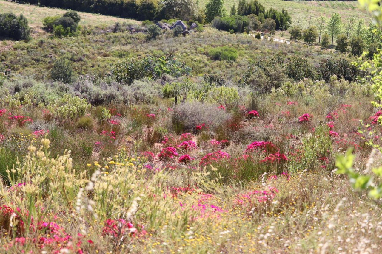 Highlands Eco Estate 호텔 Piketberg 외부 사진