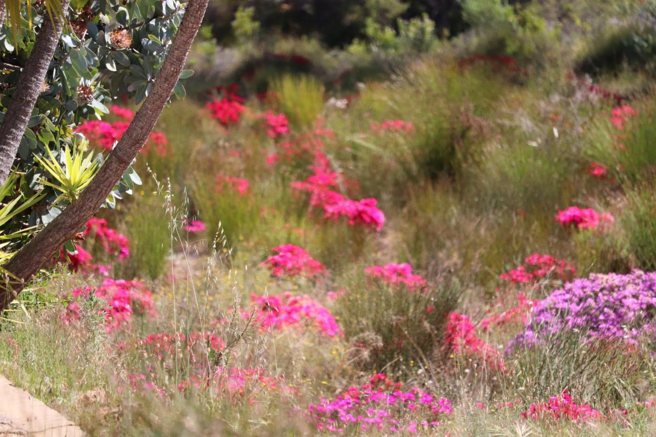 Highlands Eco Estate 호텔 Piketberg 외부 사진