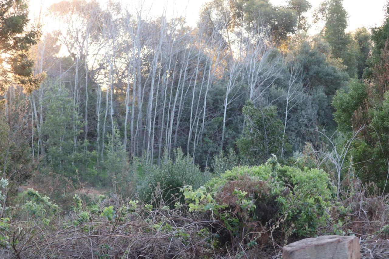 Highlands Eco Estate 호텔 Piketberg 외부 사진